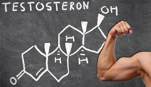 Nejlepší tipy, jak doplnit a zvýšit hladinu testosteronu